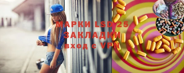 ПСИЛОЦИБИНОВЫЕ ГРИБЫ Балабаново