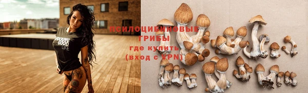 скорость Сафоново