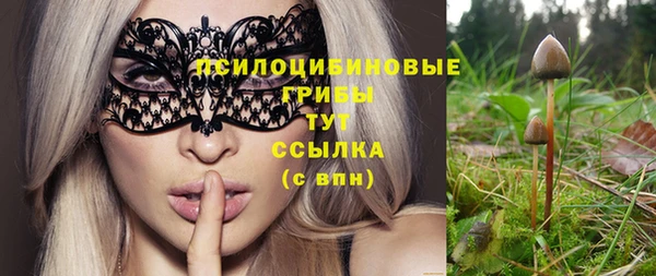 скорость Сафоново