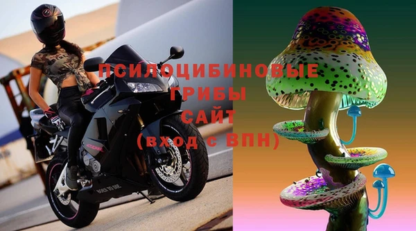 ПСИЛОЦИБИНОВЫЕ ГРИБЫ Балабаново