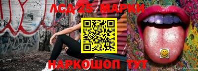 2c-b Камышлов