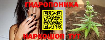 Альфа ПВП Канаш