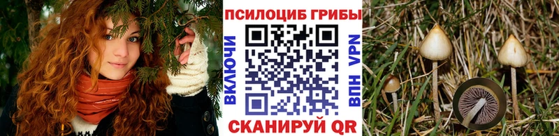 Галлюциногенные грибы мицелий  Лыткарино 