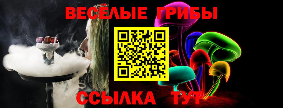 Лыткарино  Псилоцибиновые грибы прущие грибы  Псилоцибиновые грибы мухоморы  Вход с VPN 